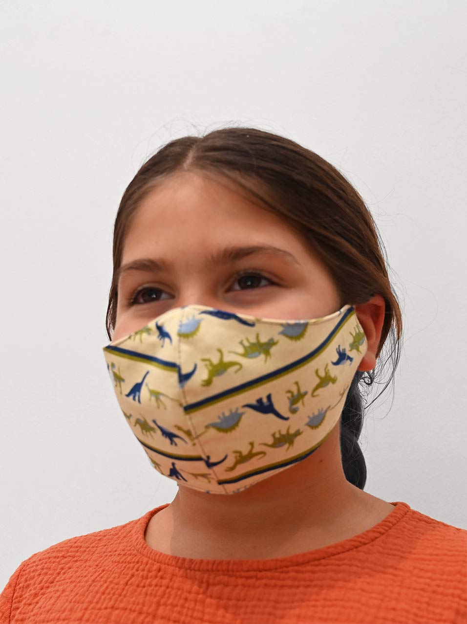 Kids mask with dinosaur pattern (reusable) made to DHHS guidelines in Australia